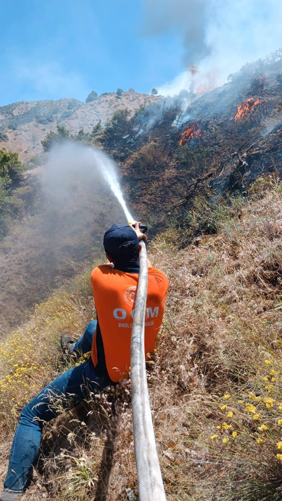 Bingöl'ün Genç ve Kiğı ilçelerinde orman yangını - Resim: 6